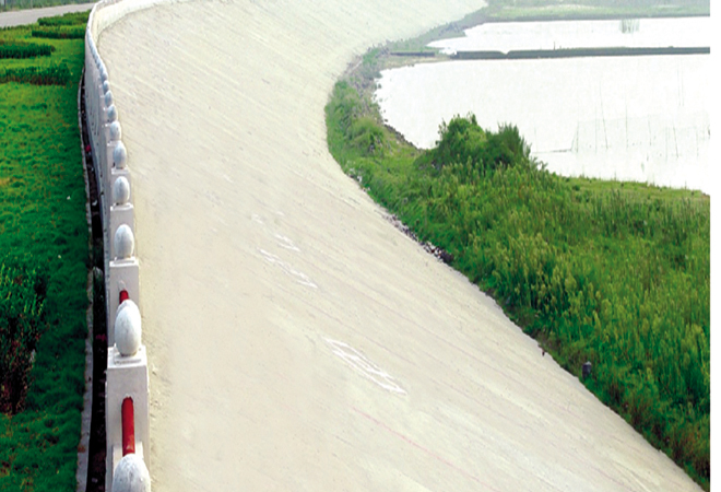 江西省優良工程-南昌市南外州城市防洪加固整治工程